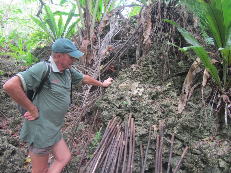 Marshall Humphreys with the walking sticks needed for traversing the difficult path through the makatea to Anatakitaki Cave, Atiu