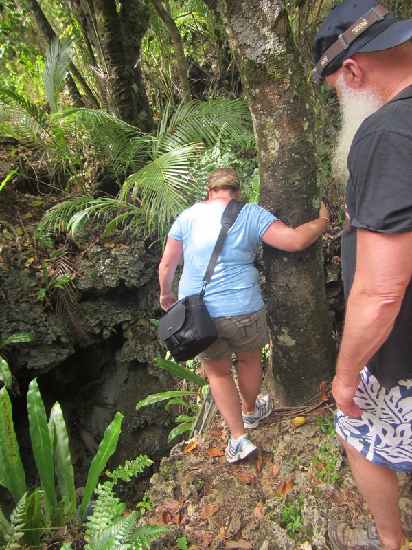 About to descend into the entrance to Anatakitaki Cave, Atiu (the Cook Islands)