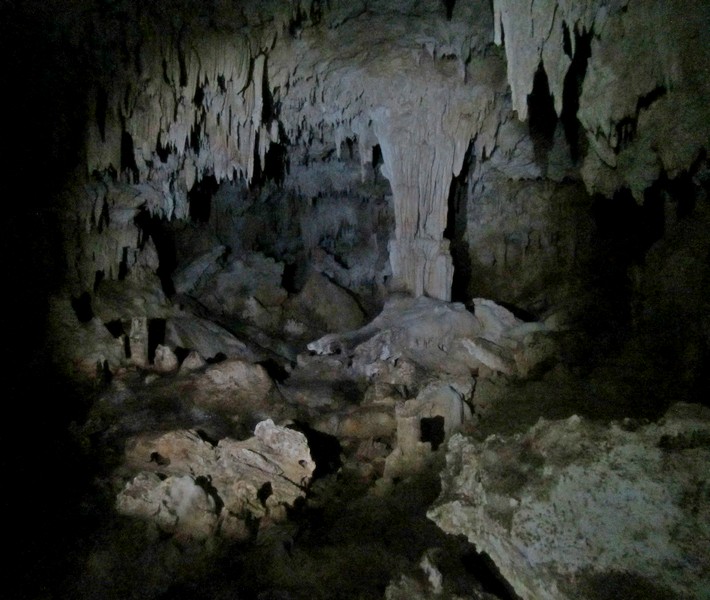 Anatakitaki Cave interior, where the kopeka (swiftlets) nest (Atiu, the Cook Islands).